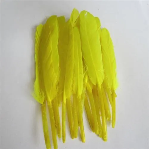 Duck Feather Decorative, 6-inch, 50-count