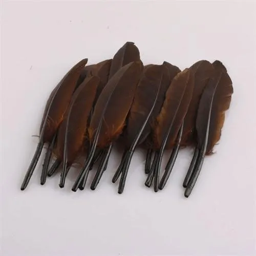 Duck Feather Decorative, 6-inch, 50-count