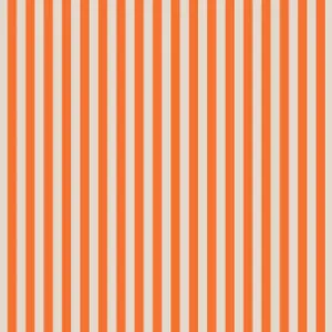 Rifle Paper - Halloween Stripe in Orange